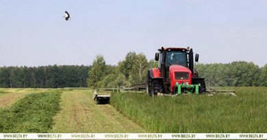 В Беларуси травы первого укоса скошены на более чем 1 млн га